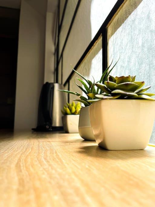 Coeur Feydeau Kervegan Le Duplex Hyper Centre Lägenhet Nantes Exteriör bild